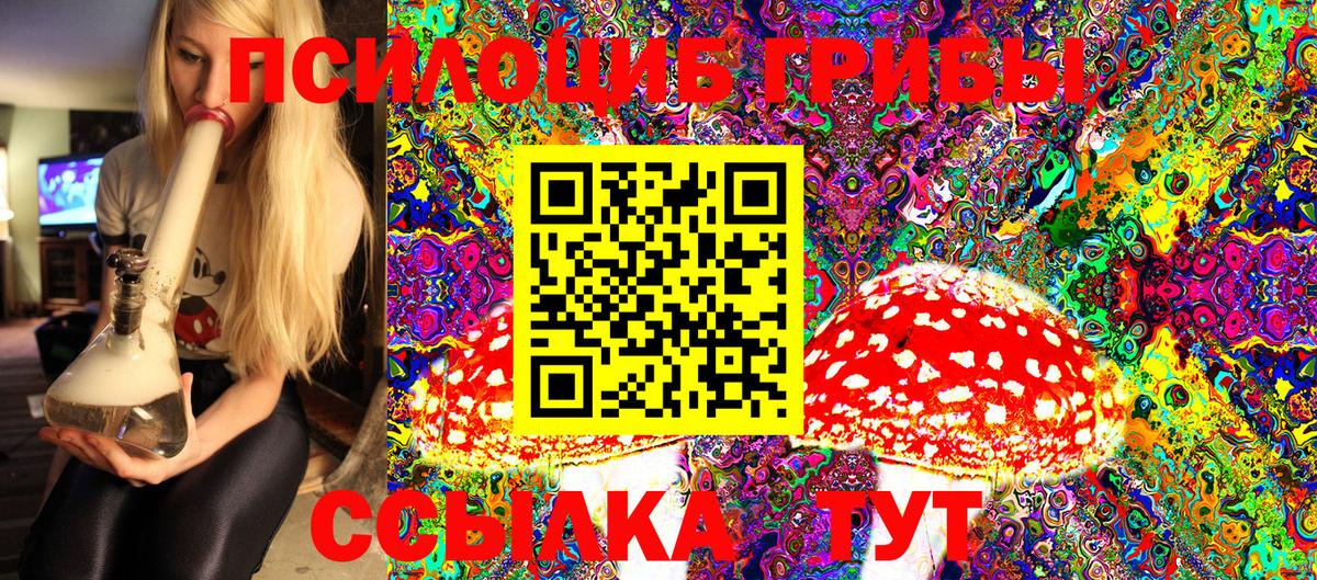 Краснознаменск  Псилоцибиновые грибы MAGIC MUSHROOMS  Вход с VPN  Галлюциногенные грибы прущие грибы 